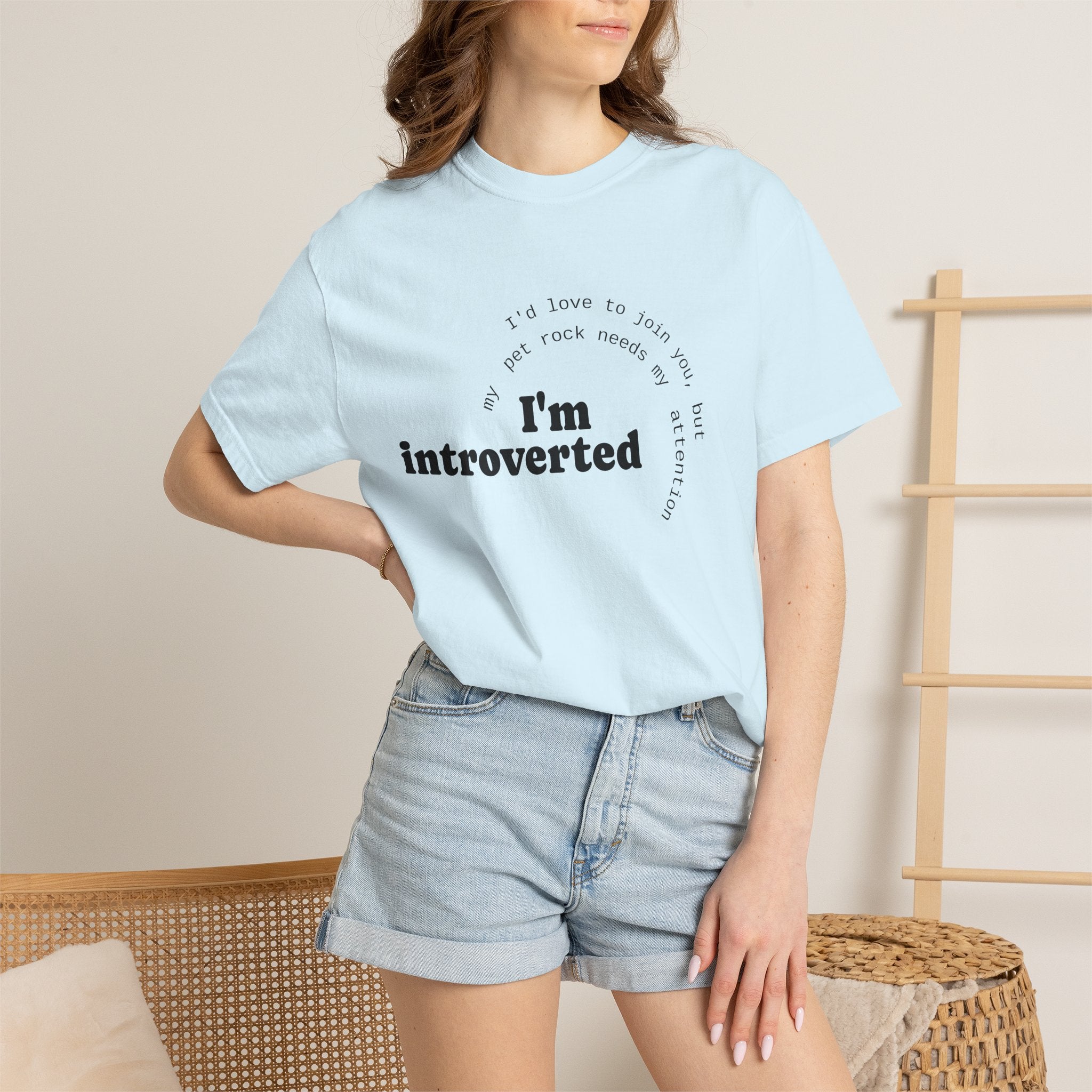 My Pet Rock Funny Quote T-Shirt