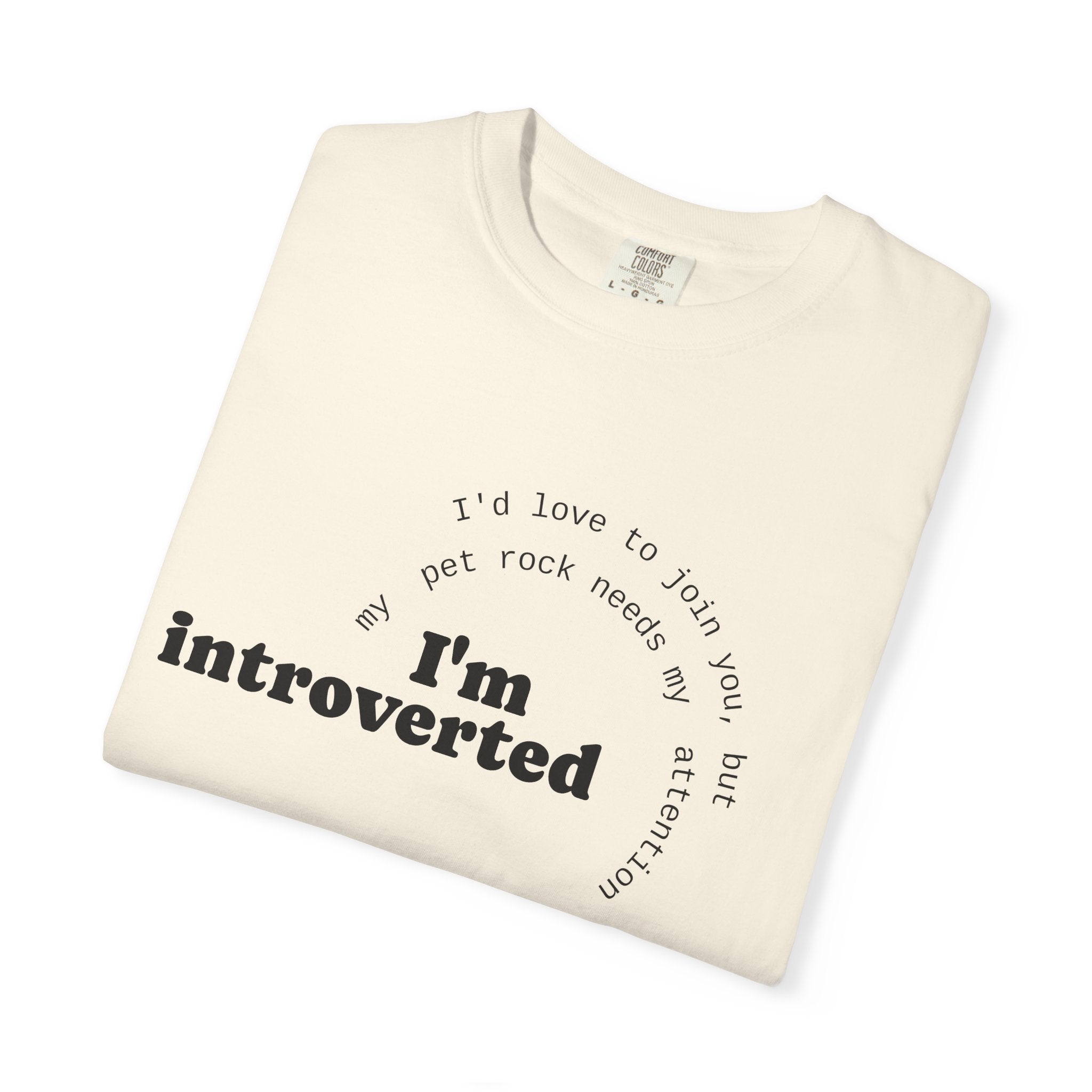 My Pet Rock Funny Quote T-Shirt