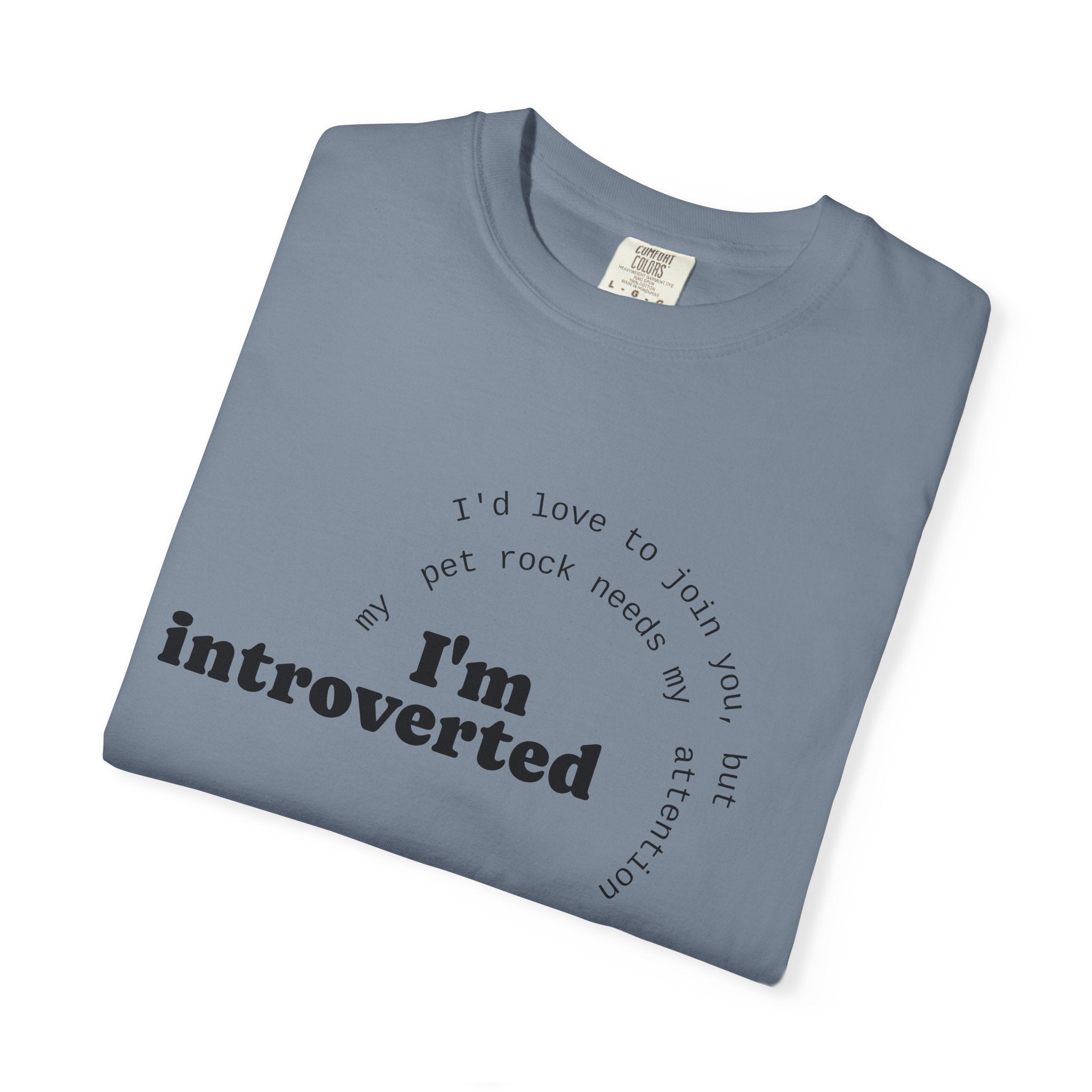 My Pet Rock Funny Quote T-Shirt