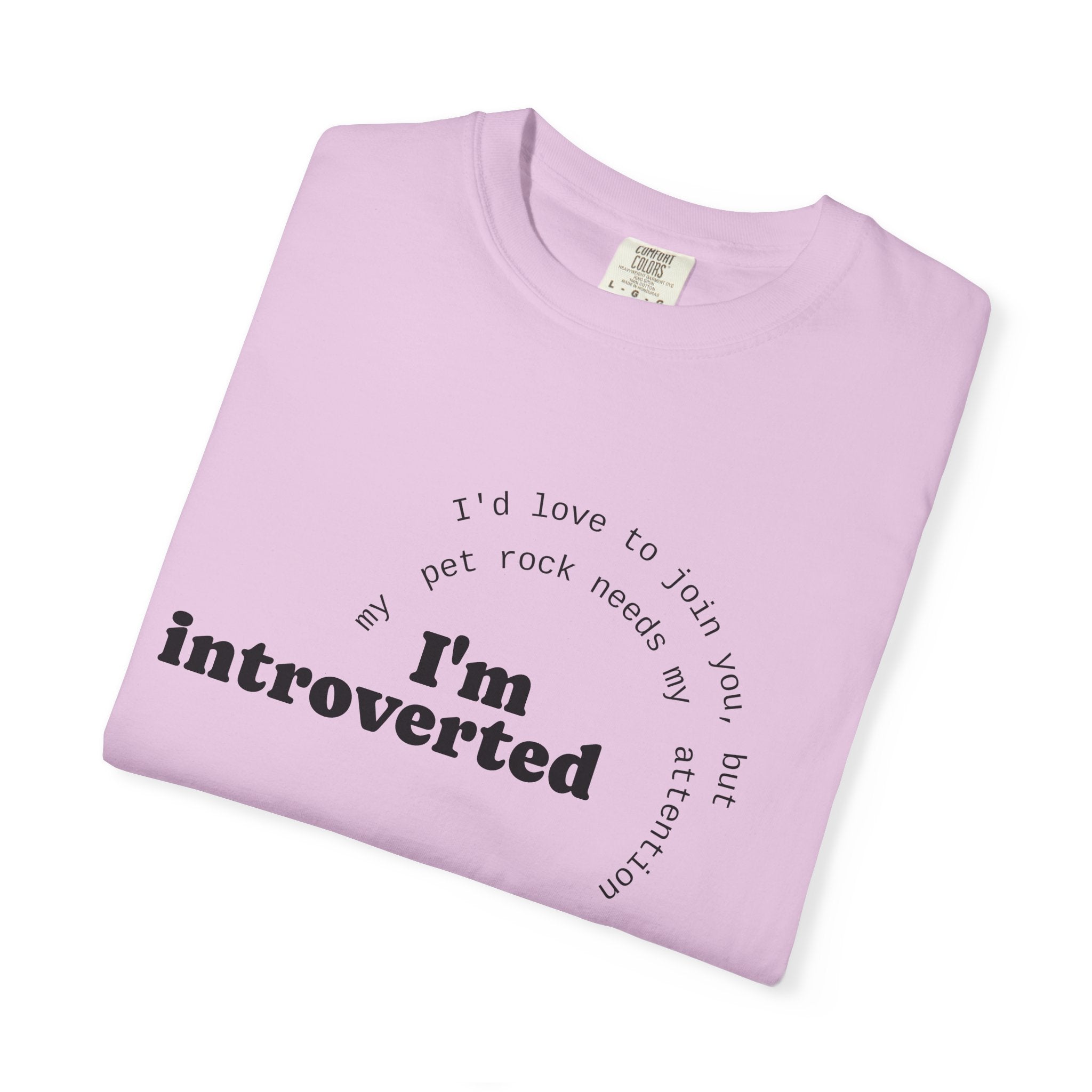 My Pet Rock Funny Quote T-Shirt