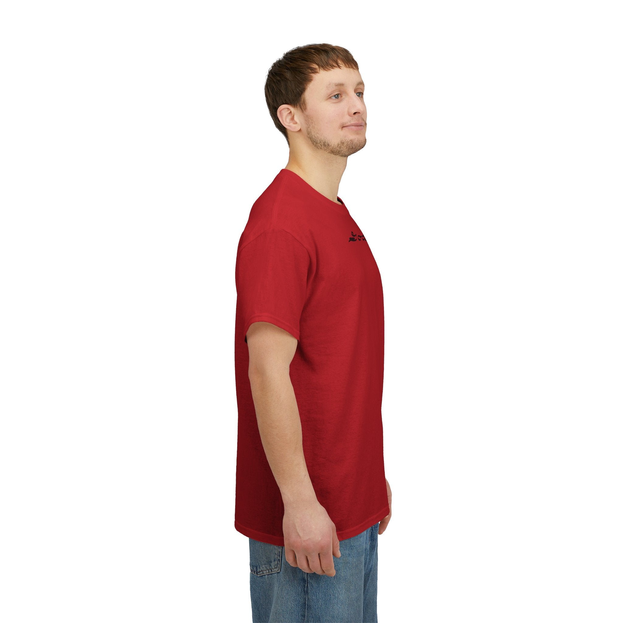 Patriotic 'God Bless America' Tee — 'We The People' Backprint 250th Celebration T-Shirt