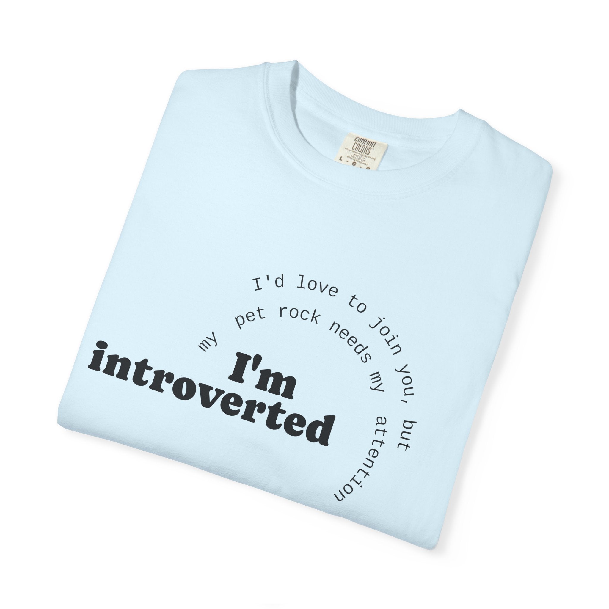 My Pet Rock Funny Quote T-Shirt