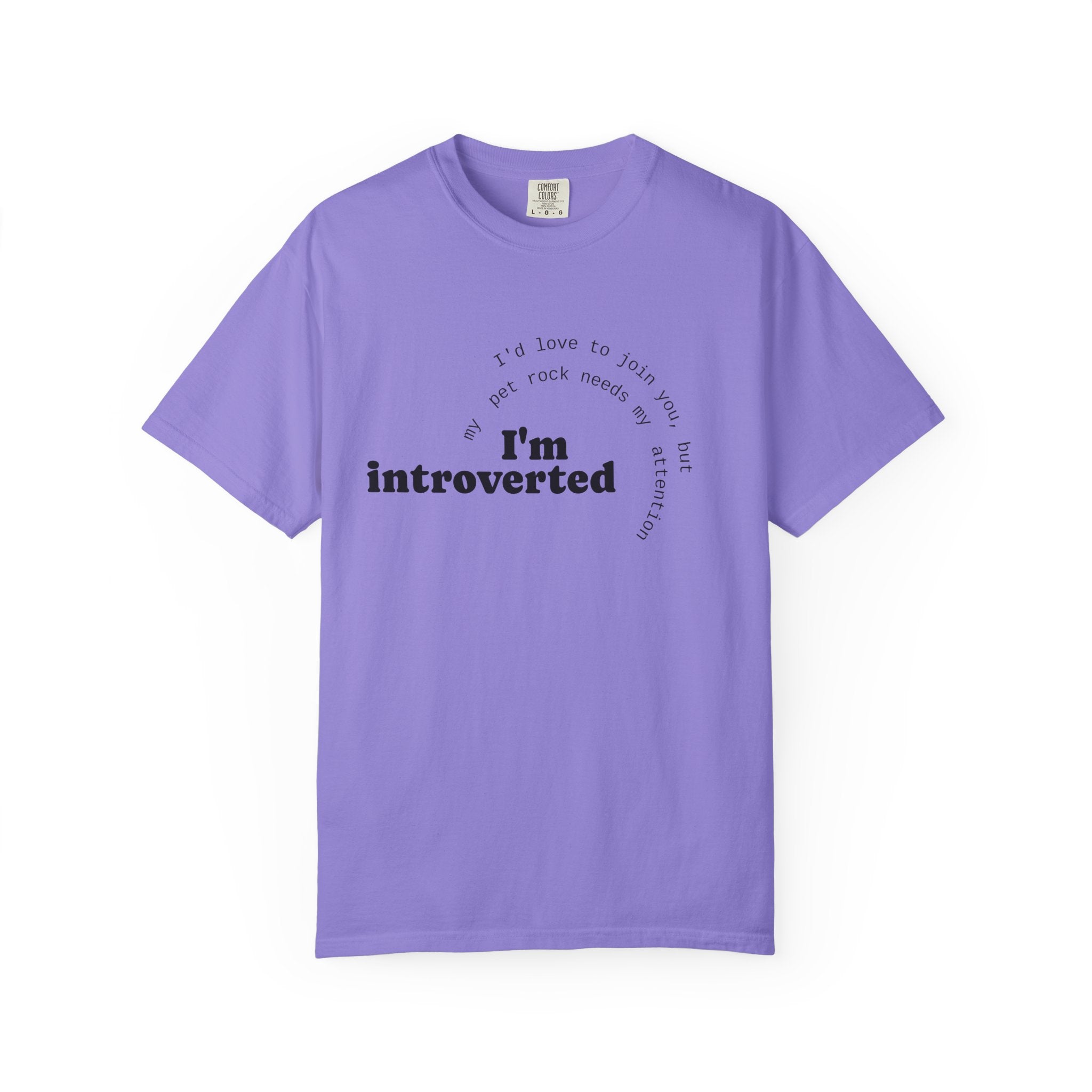 My Pet Rock Funny Quote T-Shirt