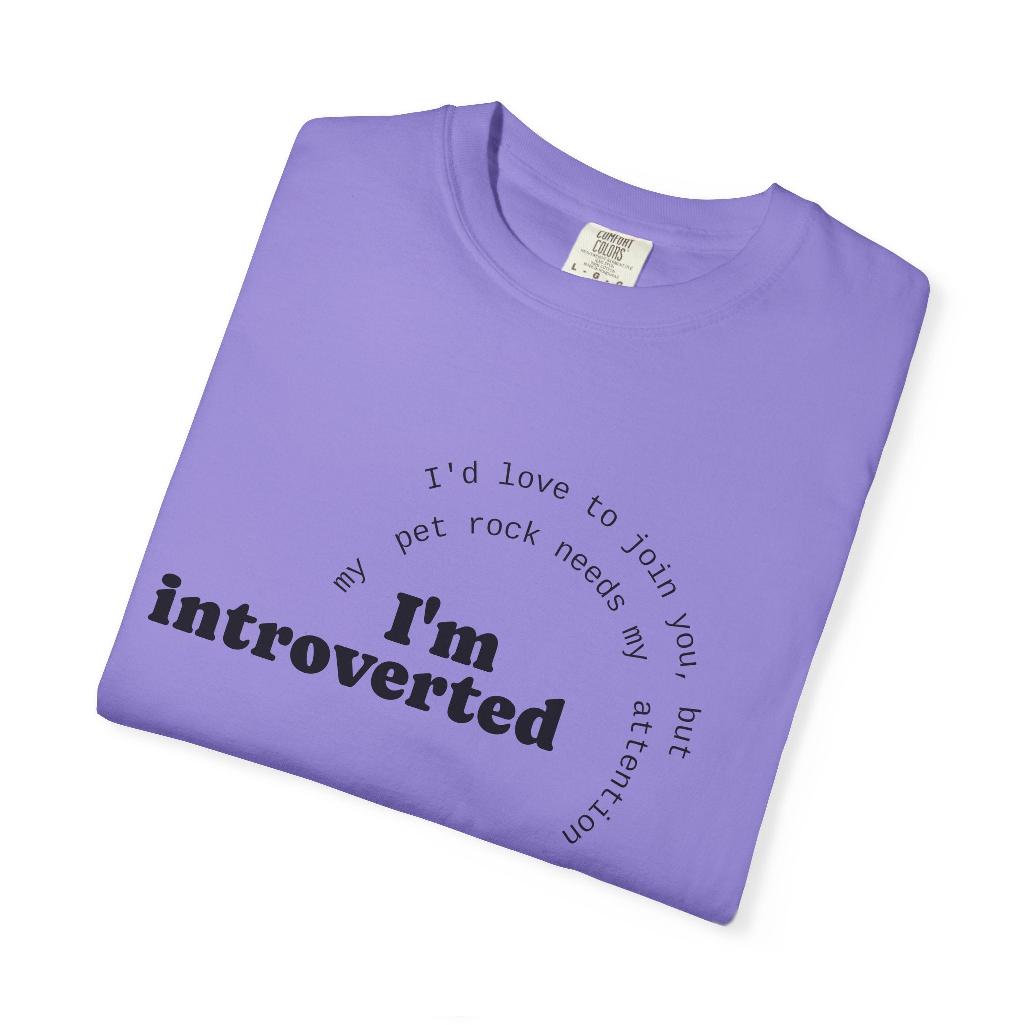 My Pet Rock Funny Quote T-Shirt