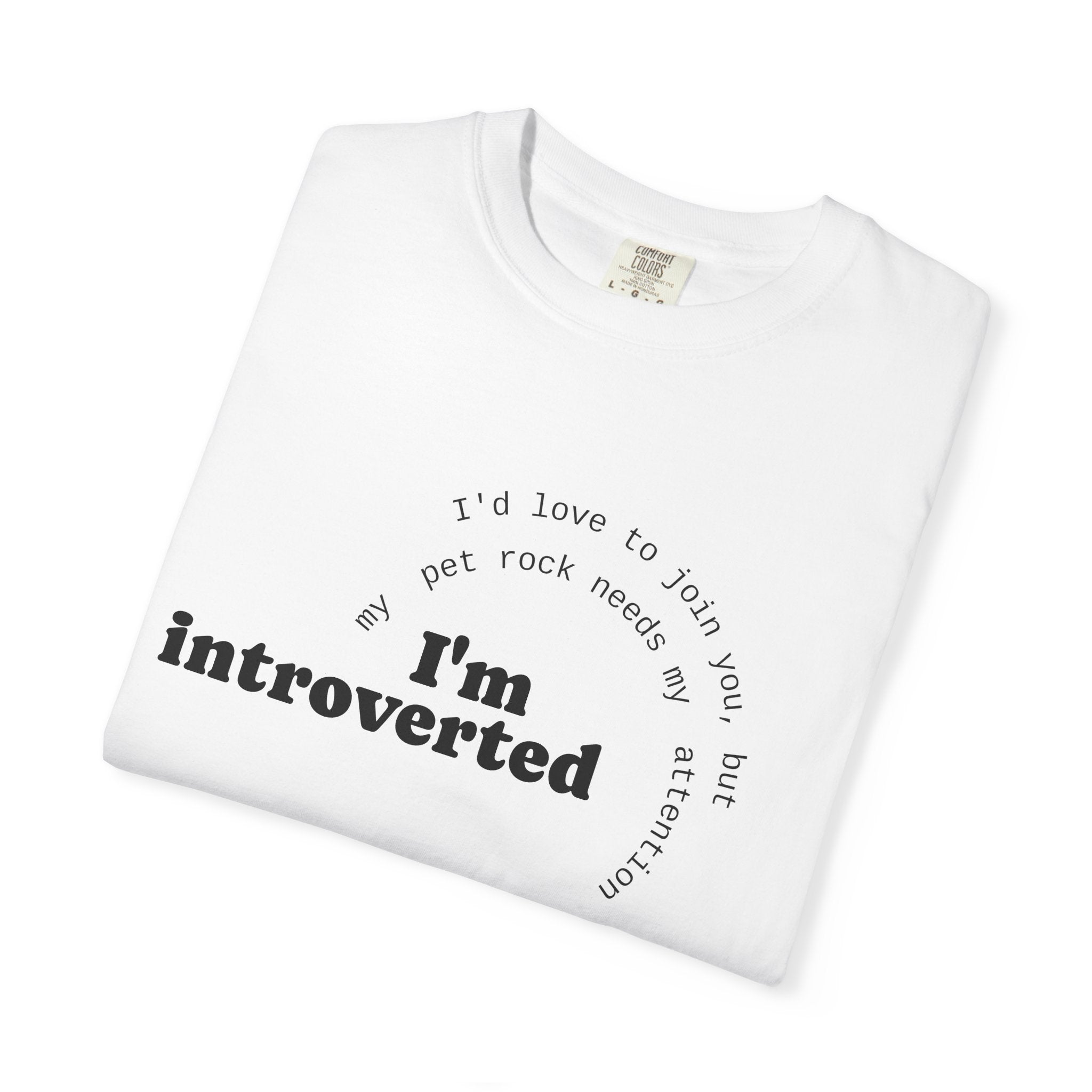 My Pet Rock Funny Quote T-Shirt