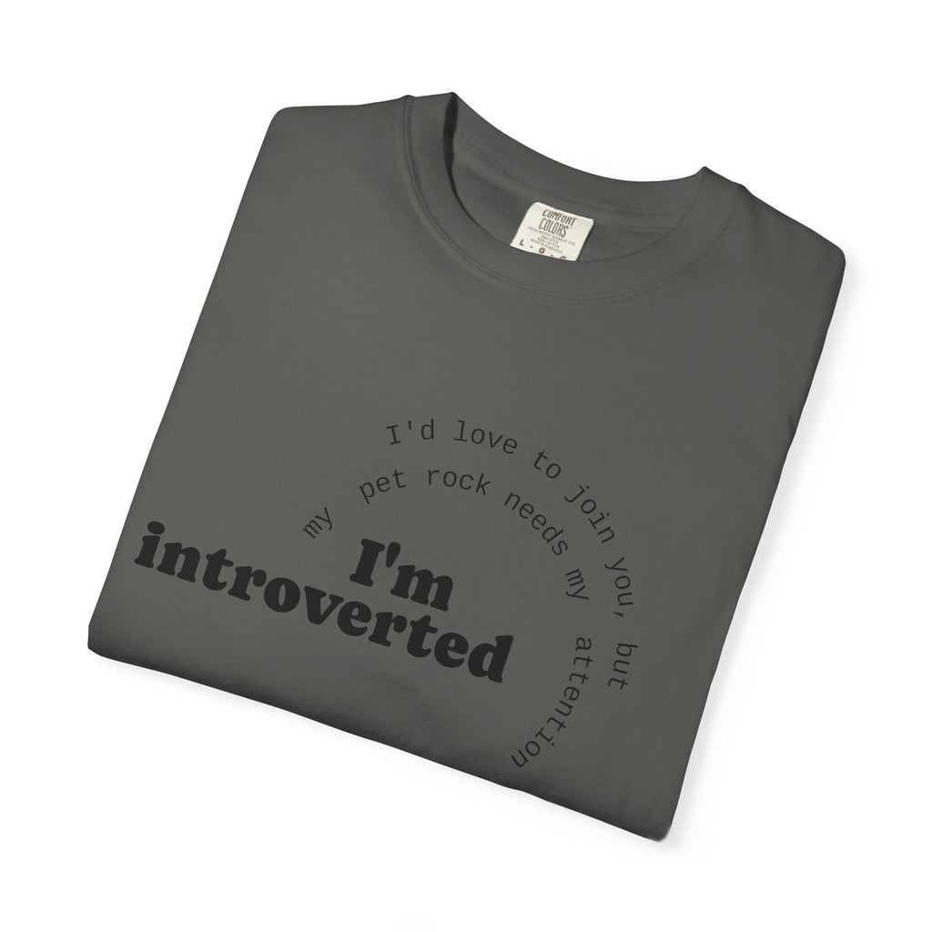 My Pet Rock Funny Quote T-Shirt