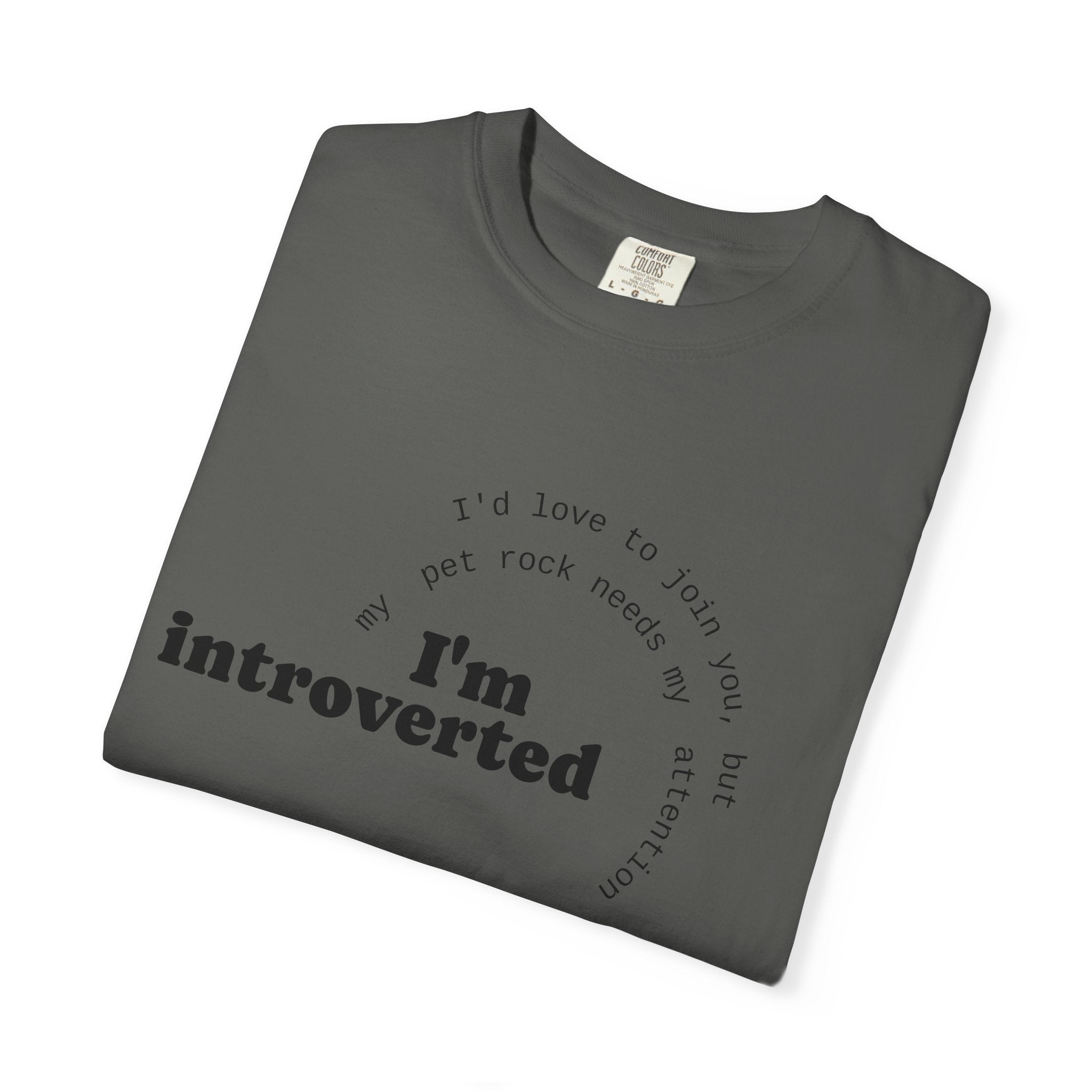 My Pet Rock Funny Quote T-Shirt
