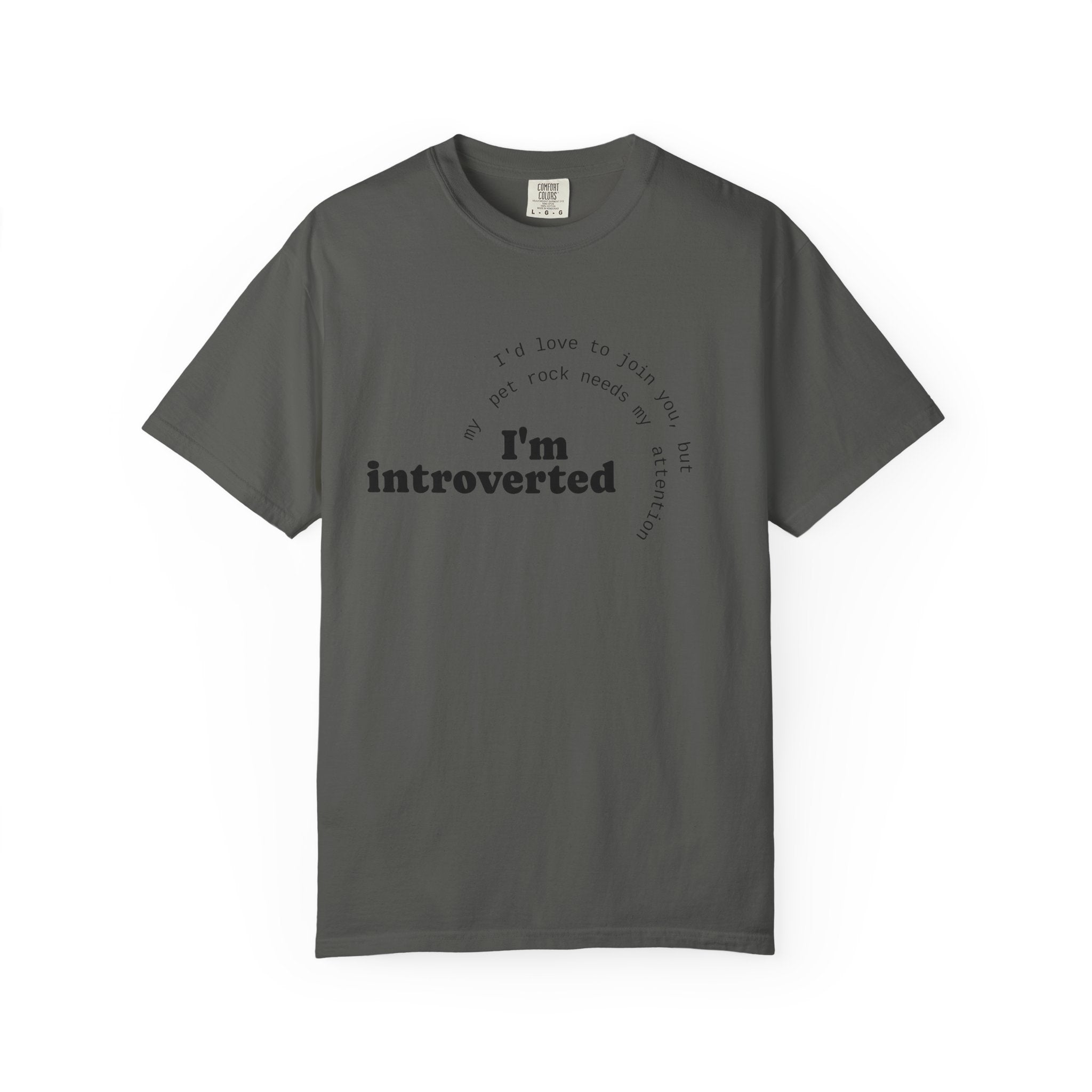 My Pet Rock Funny Quote T-Shirt